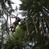 Parco avventura Forni di Sopra