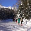 Xcountry ski