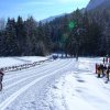 Xcountry ski