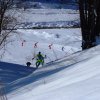 Xcountry ski