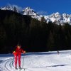 Xcountry ski