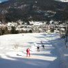 Xcountry ski