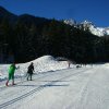 Xcountry ski