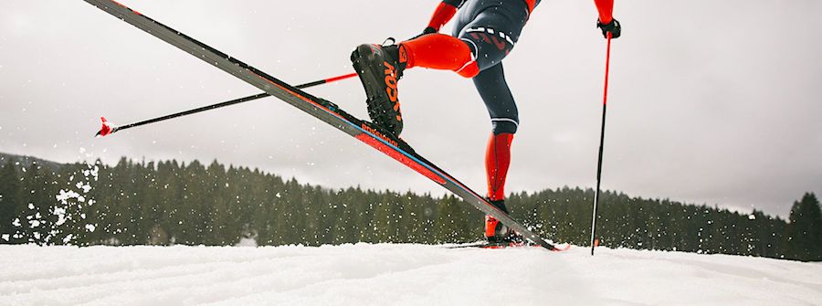 rossignol skin xcountry ski